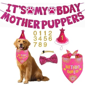 Ensemble d'accessoires de fête d'anniversaire pour animaux de compagnie : Foulard triangulaire et chapeau en tissu non tissé de luxe, personnalisables pour chien, pour une célébration festive. - Product Image 4
