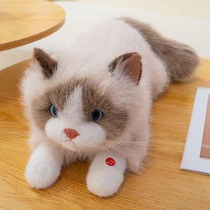 Giocattolo musicale gatto farcito educazione bambino peluche emulazione gatto bianco giocattolo elettronico personalizzato - Product Image 4