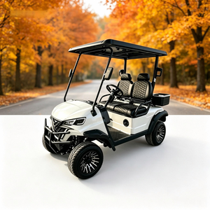 Voiturette de golf électrique personnalisable, véhicule utilitaire pour lieux privés, pour utilisation hors route publique, homologuée DOT CE EEC - Product Image 1