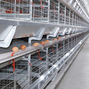 Gabbie Automatiche a Strati per Galline Ovaiole Uganda 10.000 Polli Tipo H a 4 Livelli Gabbia a Batteria per Allevamento per Sistema di Allevamento Avicolo - Product Image 1