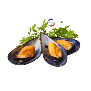 Wholesale Price Frozen Half Shell Mussel