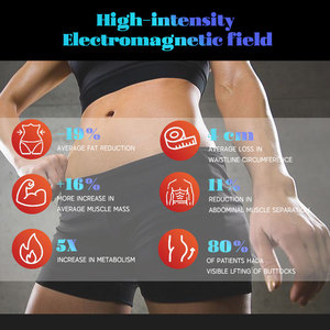 Stimulateur musculaire professionnel pour perdre du poids, 4 poignées, <span class=keywords><strong>13</strong></span> Tesla, <span class=keywords><strong>EMS</strong></span>, amincissement du corps, <span class=keywords><strong>EMS</strong></span> RF, machine de sculpture des graisses - Product Image 3