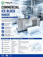 Usine professionnelle de fabrication de blocs de glace avec système de réfrigération à double vis pour les hubs de la chaîne du froid