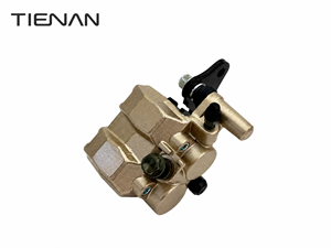 Étrier <span class=keywords><strong>de</strong></span> <span class=keywords><strong>frein</strong></span> <span class=keywords><strong>de</strong></span> moto, style <span class=keywords><strong>NISSIN</strong></span>, doré, hydraulique avant, 2 pistons, étrier <span class=keywords><strong>de</strong></span> <span class=keywords><strong>frein</strong></span> à disque pour Honda Yamaha Suzuki Kawasaki - Product Image 6