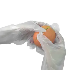 방수 플라스틱 식품 학년 바베큐 왕새우 머리 염색 TPE 투명 일회용 손 장갑