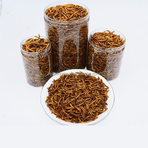 गर्म बिक्री सूखे थोक मेवर्म - Product Image 1