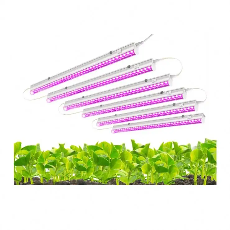 Cheapest Wholesale Vertical Farm For Farming King brite Led Grow Light With High Quality