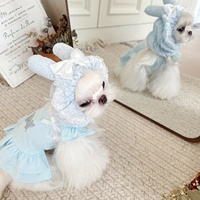 Bonnet oreilles de lapin mignon pour chats en dentelle chapeau pour animaux de compagnie accessoires de Cosplay couvre-chef drôle de chat couvre-chef pour animaux de compagnie