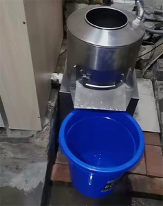 Machine à éplucher les légumes racineux industrielle, éplucheuse électrique de pommes de terre pour usine de transformation alimentaire - Product Image 3