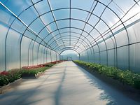 Film tunnel SHOUZHENG à lumière diffusée 130m anti-âge moulé par soufflage (bleu clair/jaune/transparent) pour plantes ornementales et fleurs