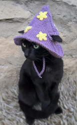 Fleur violette