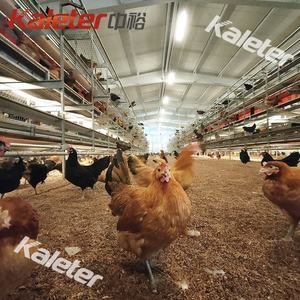 Europe et Australie Nid de ponte de poulets Ferme Cage de collecte d'œufs Volaille en liberté Poule Éleveur automatique Couche à rouler - Product Image 4