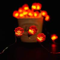 Romantische 40LED Rozen Bloemen Lichtslinger Koper Materiaal IP44 Binnen Tuin Feest Decoratie Valentijn Warm Wit 10m