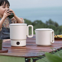 Bouilloires électriques portables pour voyages en plein air, contrôle de la température, mini bouilloire électrique en acier inoxydable 316 pour faire bouillir de l'eau