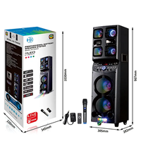 TD0655 Bosinas Amplificada Équipement Sonore/Amplificateurs Grandes Enceintes Karaoké pour Fêtes DJ Extérieures avec 2 Micros sans Fil