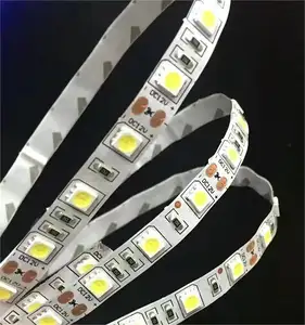 220V 12V Decoratie Led Smd 5050 Rgb Afstandsbediening Waterdicht Led Strip Lichten/Led Licht Strip/Smart Strip Licht