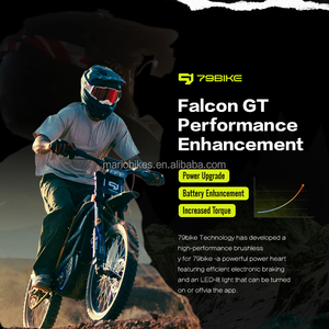 Moto tout-terrain électrique 16,8 kW Nouvelle conception Haute performance 79 Falcon GT Vélo de montagne électrique Puissant Adulte - Product Image 4