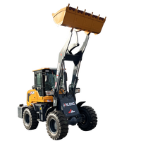 China Shandong Export Radlader Frontlader Holzlader Minilader Traktorlader Hohe Grabkraft Dieselmotor Lager