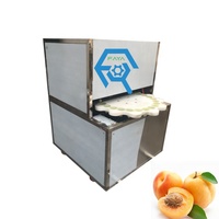 Machine d'ouverture et de dévitalisation d'une grande Date, pour hacher les cerises, couleur rouge ou noir, à prix abordable