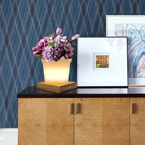 Décoration de la maison et du jardin <span class=keywords><strong>petit</strong></span> couvercle de <span class=keywords><strong>pot</strong></span> de fleur/petits pots de fleurs LED d'extérieur - Product Image 2