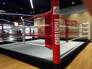 Équipement <span class=keywords><strong>de</strong></span> combat commercial <span class=keywords><strong>de</strong></span> haute qualité, pliable rapidement, pour salle <span class=keywords><strong>de</strong></span> sport, <span class=keywords><strong>boxe</strong></span>, MMA, <span class=keywords><strong>ring</strong></span> pliable - Product Image 3