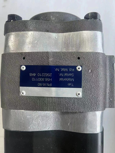 Pompe à engrenages hydraulique double série IPN5 IPN4 IPN6, modèles IPN 5/4-64/40 641+IPN 4/4-40/40 641, pour presse hydraulique - Product Image 5