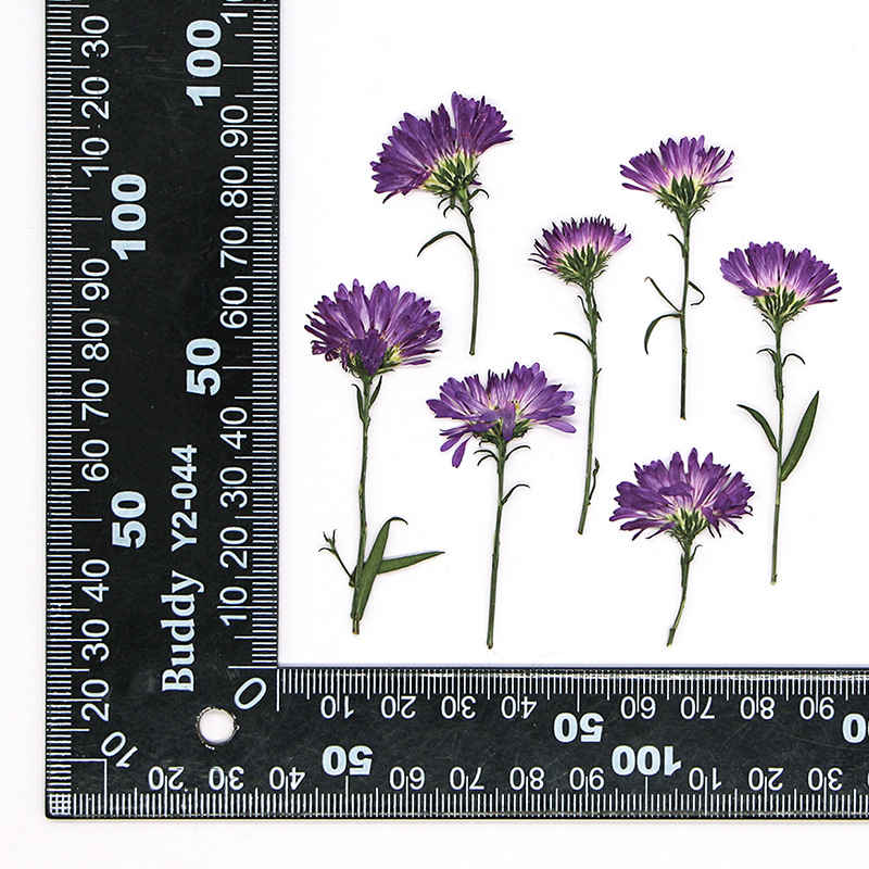 MH391 Natural purple 12pcs/bag