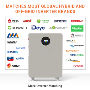 Sistema de Almacenamiento de Energía Solar con Baterías de Iones de Litio Lifepo4, BMS Balanceado, 5kW 10kW 15kWh 300Ah 314Ah, Power Wall - Product Image 4
