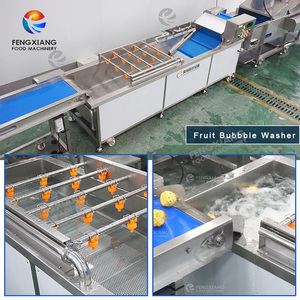 Machine de lavage et de séchage d'ananas 1000-2000 kg/h, ligne de traitement d'ananas - Product Image 2