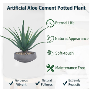 Plantes succulentes plantes artificielles fausses plantes d'<span class=keywords><strong>aloe</strong></span> <span class=keywords><strong>vera</strong></span> en pot de ciment plante d'agave pour la maison <span class=keywords><strong>bureau</strong></span> <span class=keywords><strong>bureau</strong></span> salle de bain étagère décorations - Product Image 6