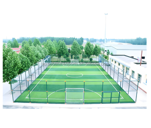 2025 <span class=keywords><strong>Cage</strong></span> à gazon synthétique polyvalente à cinq côtés pour le football Futsal Hauteurs de 50mm pour jardins et aménagement paysager - Product Image 3