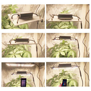 Panneau de culture à <span class=keywords><strong>LED</strong></span> pour plantes d'intérieur, <span class=keywords><strong>lampe</strong></span> de <span class=keywords><strong>croissance</strong></span>, panneau lumineux pour graines, légumes <span class=keywords><strong>et</strong></span> fleurs - Product Image 6