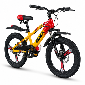 싱타이 공장 공급업체 20인치 싱글 스피드 MTB BMX 분할 도장 프레임 CKD, AB 카톤당 3개, 좋은 가격 - Product Image 3