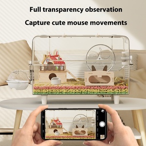 Grande gabbia per criceto di lusso trasparente da 60cm con Design dorato Anti-rosicchiamento della casa in plastica Anti-fuga - Product Image 3