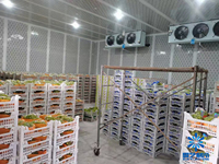 Contenedor Refrigerado de 20 y 40 Pies para Frutas y Verduras con Compresores Automáticos Copeland Emerson, Solución Integral de Construcción