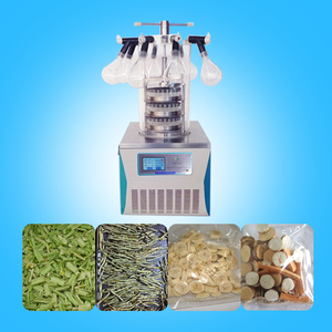 Lyophilisateur avec chambre en acier inoxydable de haute qualité pour la durabilité - Product Image 4