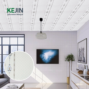 Techo de <span class=keywords><strong>PVC</strong></span> Económico para Alquiler, Revestimiento para Remodelación de Viviendas, Diseño Encastrable, Sin Necesidad de Construcción Complicada - Product Image 3