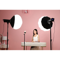 Boîte à lumière sphérique pliable de 65 cm, lanterne en papier, forme de globe, diffuseur avec monture Bowens pour flash de studio