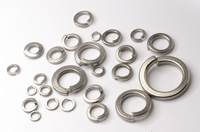Polished 304 & 316L Stainless Steel Spring Washers with Zinc Din Standard