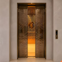 Small Home Elevator for House Compact Home Lift No Machine Room LED Interior Lighting 220V/380V Power Fast Delivery