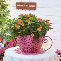 Pot de fleurs en fer en forme de tasse à café pour jardin extérieur, cour, salon intérieur, aménagement paysager, balcon, décoration