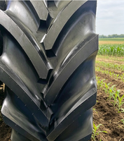 Pneus de tracteur agricoles professionnels neufs, solides, à bande de roulement diagonale, pour forêt tropicale, 26*10.00-12