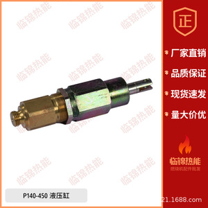 Cilindros Hidráulicos para Quemadores Riello RL250 P300 P450 RL34 RL44 RL70 RL190, Varilla de Pistón Cromada Dura, Diámetro Interior del Tubo de 500 mm - Product Image 1