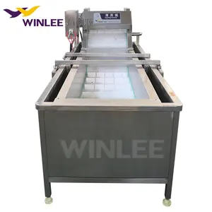 Multi-function ozone bubble fruit and vegetable washer corn cleaning equipment vegetable washing machine