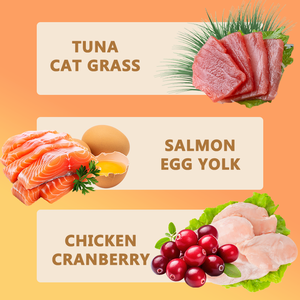 Huile de poisson naturelle, complément nutritionnel pour animaux de compagnie, friandises, oméga 3, nourriture pour chats personnalisable, meilleur aliment sain pour chats, friandises crémeuses pour chats - Product Image 3