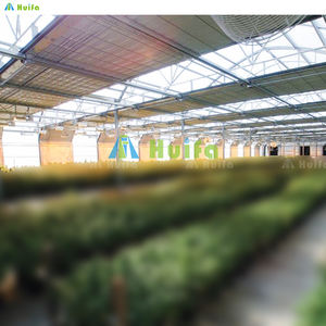 Serre à obscurcissement automatique à double couche SINO AGRI, film anti-UV personnalisable pour les plantes médicinales et agricoles - Product Image 3