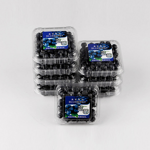 Caja de plástico <span class=keywords><strong>para</strong></span> embalaje de fruta, Morera, Raspberry 125 G - Product Image 3