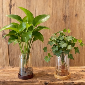 Alto borosilicato piccolo <span class=keywords><strong>vaso</strong></span> di vetro trasparente Mini <span class=keywords><strong>vaso</strong></span> di vetro per la decorazione della tavola per la casa <span class=keywords><strong>vaso</strong></span> minimalista - Product Image 5