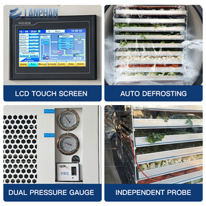 Lyophilisateur industriel compact, capacité de 60 à 70 kg par lot, 9 étagères, 18 plateaux, chambre de séchage et chambre de récupération d'eau isolées - Product Image 6