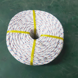 Cuerdas <span class=keywords><strong>de</strong></span> <span class=keywords><strong>Polipropileno</strong></span> Trenzadas <span class=keywords><strong>de</strong></span> <span class=keywords><strong>1</strong></span>/<span class=keywords><strong>2</strong></span> Pulgada, 12mm, 16mm, 20mm, 3/4 Hilos, para Embalaje, Danline, Pesca y Uso Marino, <span class=keywords><strong>Precio</strong></span> <span class=keywords><strong>de</strong></span> <span class=keywords><strong>Cuerda</strong></span> <span class=keywords><strong>de</strong></span> PP - Product Image 3